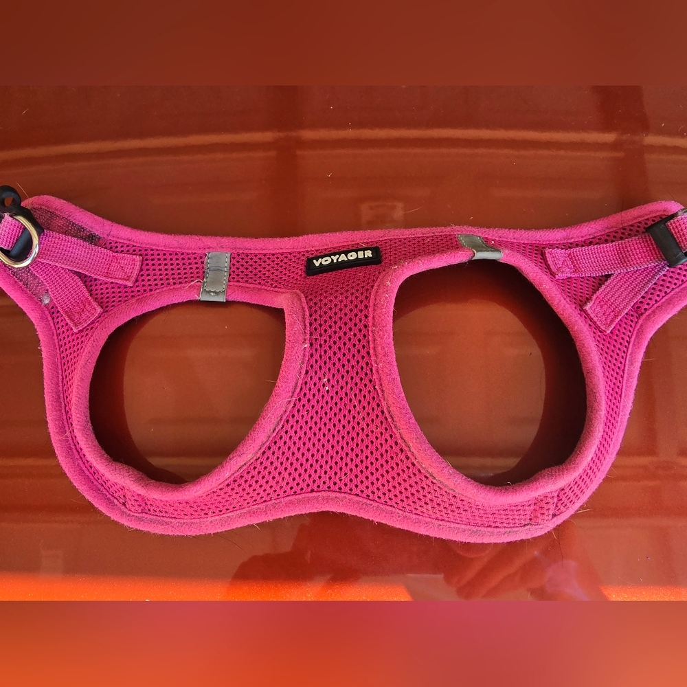 Voyager harness